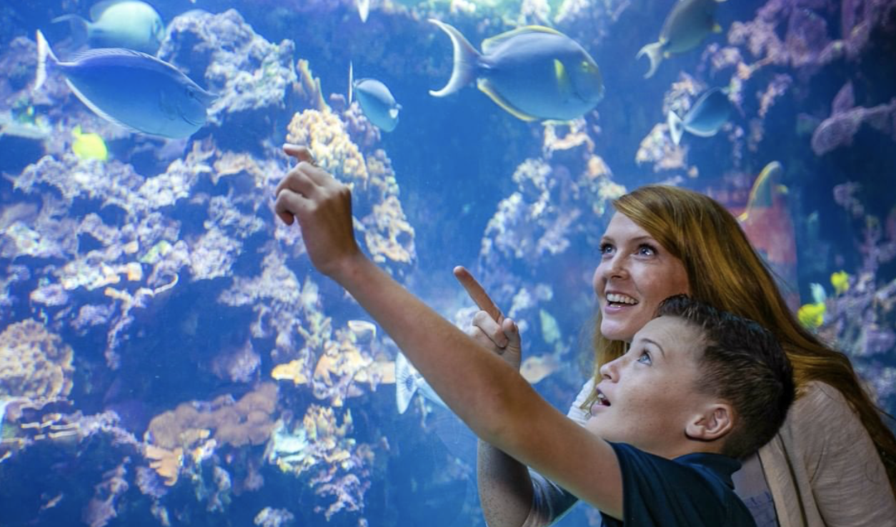 Woman and boy at an aquarium